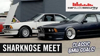 BMW Sharknose Collection Meet at Car Audio & Security