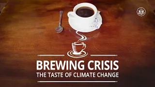 How does climate impact your coffee?