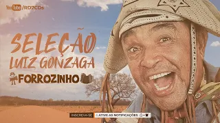 SELEÇÃO PISEIRO LUIZ GONZAGA - OS MELHORES FORRÓZINHO DO REI DO BAIÃO GRANDES SUCESSOS - RD7CDs