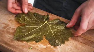 Armenian Tolma (stuffed grape leaves)