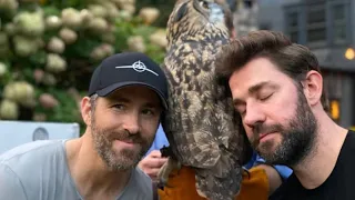 Fundraising And Blackmailing Hugh Jackman, Here's How John Krasinski Celebrated His 40th Birthday