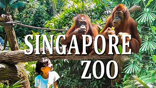 Сингапур. Зоопарк и не только / Singapore. Zoo and not only (EN subtitles)