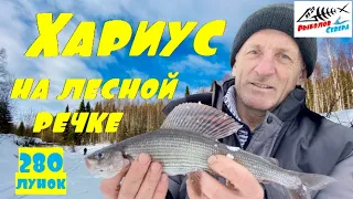 Рыбалка на хариуса зимой 2021. Хариус на таёжной речке. Рыбалка на хариуса в глубинке Арх. области