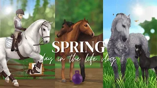 A Spring Barn Routine! II Foal Update, Lessons, Nektar & More! II SSO RRP