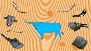 CUTE ANIMALS Texas Longhorn Bull Puzzle 귀여운 동물 텍사스 롱혼 불 퍼즐