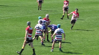 U14s Group 9 JRL Grand Final Young Cherrypickers vs Gundagai Adelong 02092023