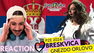 🇷🇸 Reaction Breskvica - Gnezdo Orlovo PZE 2024 (SUBTLD) | Pesma Za Evroviziju Serbia Eurovision 2024