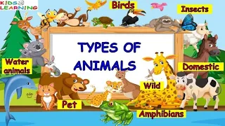 Types of animals IWild, Domestic, Pet, Birds, Insects, Water animals I Types of Animals for kids