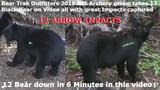 12 Bear arrowed in 6 minute @ Bear Trak Outfitters 2016 Bow Only ARROW IMPACT Compilation POV