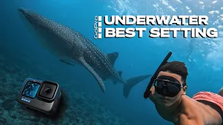 Best GoPro Settings for underwater videography! 5 Quick Tips