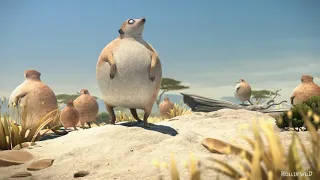 Fat animals ■ Rollin wild ■ If animals were round ► MEERKATS ◄