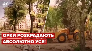 😡Окупанти цинічно грабують парк біля Драмтеатру в Маріуполі