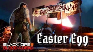 Call Of Duty Black Ops IIII Zombies: Blood Of The Dead Solo Easter Egg With No Perks!