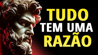 NINGUÉM ENTRA NA SUA VIDA POR ACASO | ESTOICISMO