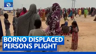 IDPs Stranded As Borno Govt Commissions Auno 500 Housing Unit