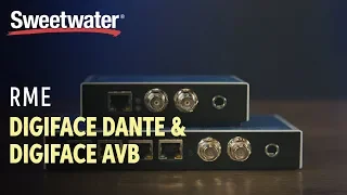 RME Digiface Dante and Digiface AVB Overview