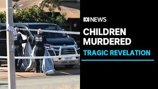 Revelations a mother who murdered her three children was turned away from a woman's refuge ABC News.