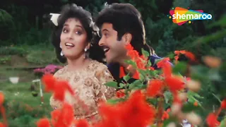 Pyar Hua Hai Mujhe | Jamai Raja | Anil Kapoor | Madhuri Dixit | 90's Hit Bollywood Songs