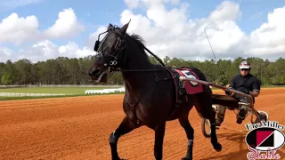 TrotCast Erv Miller Stable: 2 Year Olds In Training Part 1