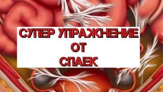 САМОЕ ЭФФЕКТИВНОЕ УПРАЖНЕНИЕ от СПАЕК #YouTubeТренды