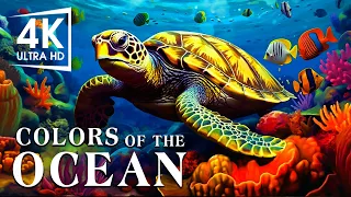 The Best 4K Aquarium - The Colors of the Ocean, The Sound Of Nature #6