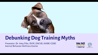 Debunking Dog Training Myths 3-16-2024