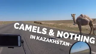 [S1 - Eps. 89] CAMELS & NOTHING in Kazakhstan