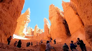 Utah National Parks - Zion, Bryce, Arches, and Canyonlands with Kids! (FiveOnTheMove)