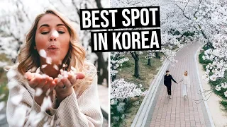 You Need To Visit Busan in South Korea | Everything to See & Do