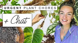 I Abandoned My Plants In a Heatwave All Week... Plant Chores and Chat 🥰🌿