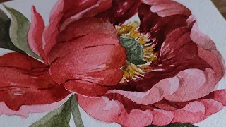 How to paint watercolor flowers | Peonies