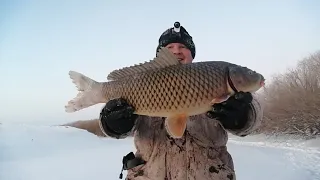 Сазан на зонтики.🐟  Опять мы вернулись домой с рыбой