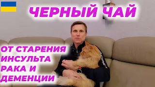 Черный чай от старения, инсульта, рака и деменции.