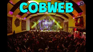 A Day with COBWEB | Live at PURPLE HAZE (RAW) 2021