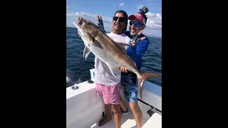 Jigging slow jigg Amberjack fishing Costa Rica