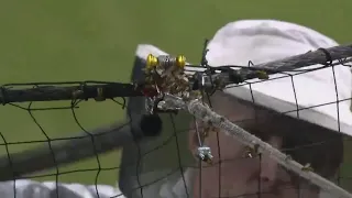 Beekeeper saves D-Backs game after bees swarmed near home plate