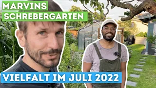 Kürbis, Granatapfel, Tomaten und Co. | Vielfalt im Schrebergarten bei Marvin im Juli 2022