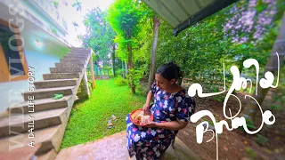 പണം വന്ന വഴിയും പുതിയ ദിവസവും | Lunch time | wide vlogs | Tomato curry | Egg fry