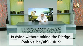 Is dying without taking the Pledge (Bait / Bayah) kufr? - Assim al hakeem
