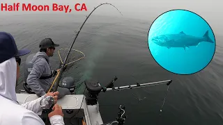 King Salmon Fishing in 4k w/ Underwater Camera