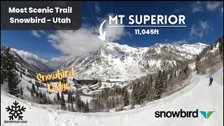 SNOWBIRD | Top to Bottom | Utah