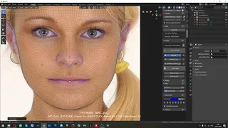 Аддон Face Builder для Blender