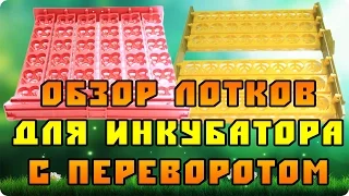 Обзор 2-х типов лотков для автоматического инкубатора (авто переворот яиц)