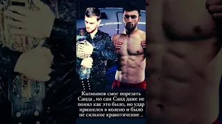 Калмыков vs Саид #shorts #короткиевидео #хайпфайтинг #конфликт #дагестан #сульянов #перс