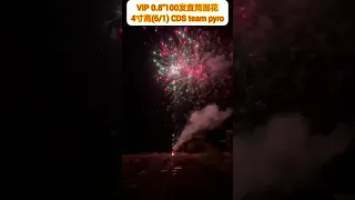 2022=VIP 0.8"100 shots ground cake. (2022=VIP 0.8寸100发混花)