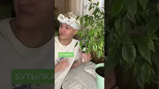 POV: ЕСЛИ БЫ ВЕЩИ УМЕЛИ РАЗГОВАРИВАТЬ (3 часть)