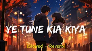 YE TUNE KIA KIYA | Slowed + Reverb | Song | MF Lofi Song