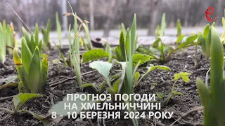 Прогноз погоди на 8 - 10 березня 2024 року в Хмельницькій області від Є ye.ua
