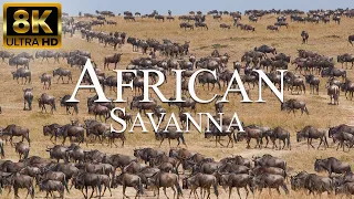 African Savanna 8K ULTRA HD | The Great Wildebeest Migration | Wildlife of Africa