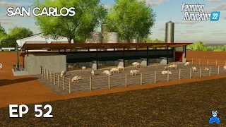 KUPILI SMO VEČ KOT 250 PRAŠIČEV! | Farming Simulator 22 - San Carlos | Epizoda 52